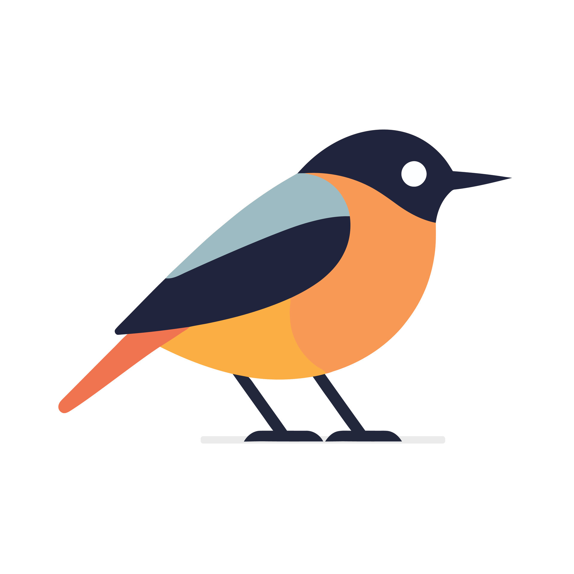 Reference bird photo