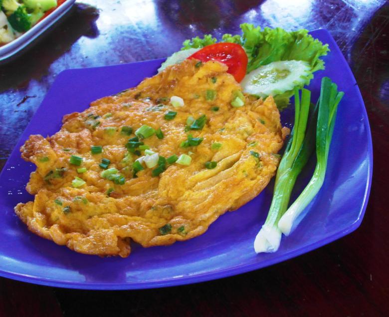 Reference: Plain Omelet with Spring Onions by Ivan on Stockvault.net